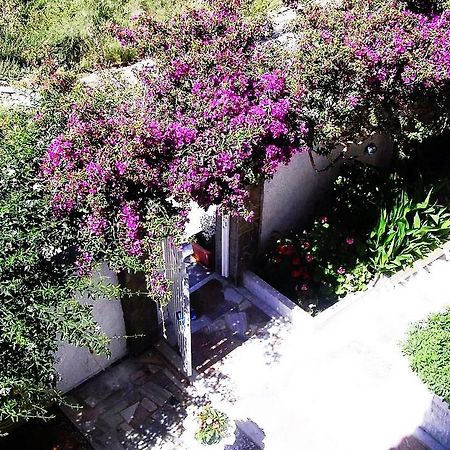 Koralli Studios Korissia  Dış mekan fotoğraf