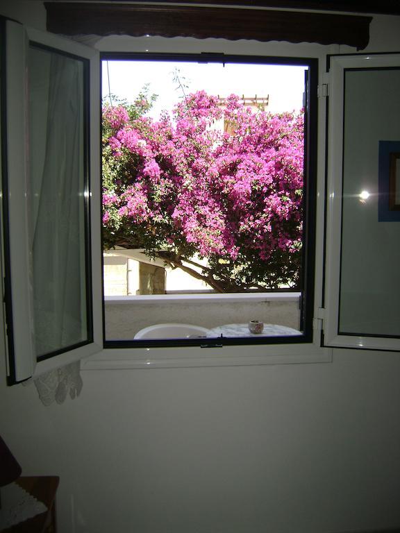 Koralli Studios Korissia  Dış mekan fotoğraf