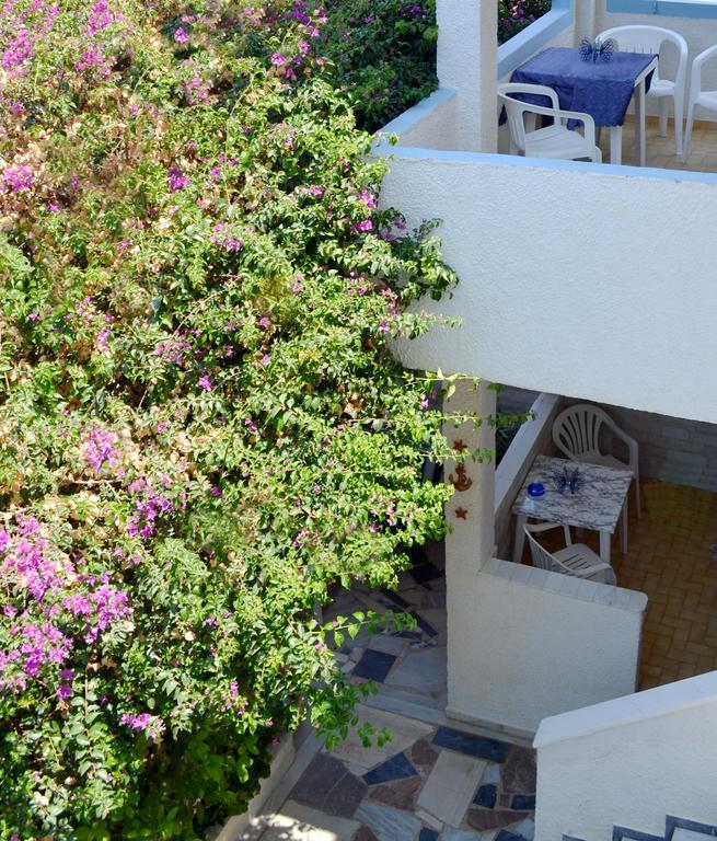 Koralli Studios Korissia  Dış mekan fotoğraf