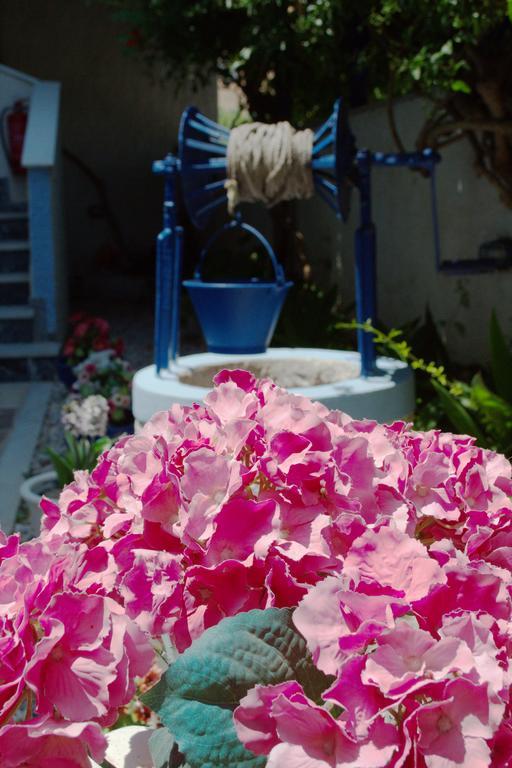 Koralli Studios Korissia  Dış mekan fotoğraf