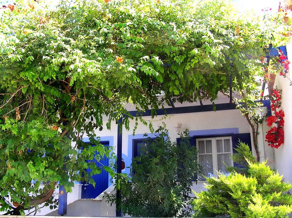 Koralli Studios Korissia  Dış mekan fotoğraf