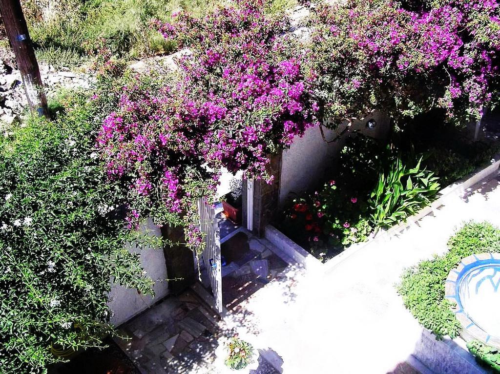 Koralli Studios Korissia  Dış mekan fotoğraf